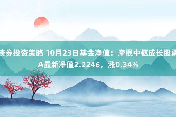 债券投资策略 10月23日基金净值：摩根中枢成长股票A最新净值2.2246，涨0.34%