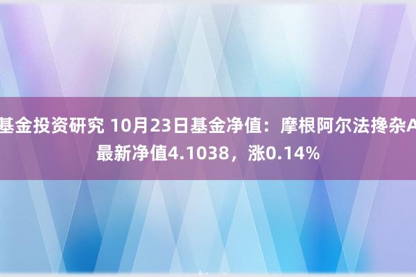 基金投资研究 10月23日基金净值：摩根阿尔法搀杂A最新净值4.1038，涨0.14%