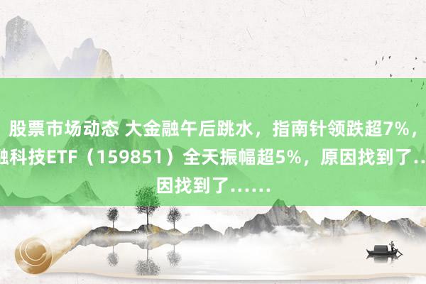 股票市场动态 大金融午后跳水，指南针领跌超7%，金融科技ETF（159851）全天振幅超5%，原因找到了……