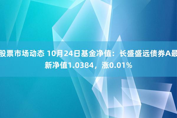 股票市场动态 10月24日基金净值：长盛盛远债券A最新净值1.0384，涨0.01%