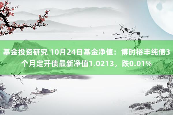 基金投资研究 10月24日基金净值：博时裕丰纯债3个月定开债最新净值1.0213，跌0.01%