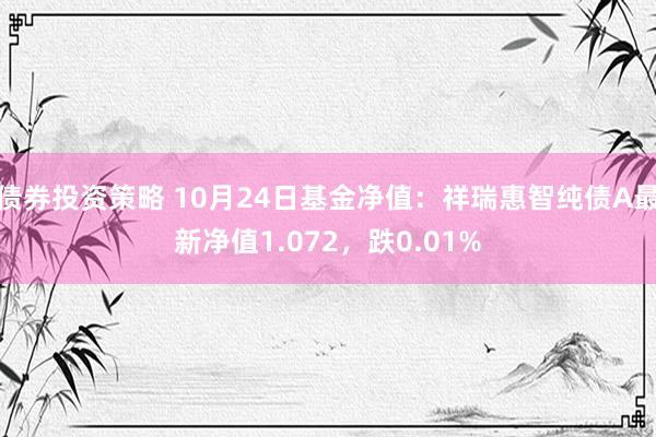 债券投资策略 10月24日基金净值：祥瑞惠智纯债A最新净值1.072，跌0.01%