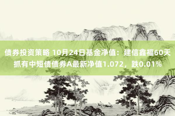 债券投资策略 10月24日基金净值：建信鑫福60天抓有中短债债券A最新净值1.072，跌0.01%