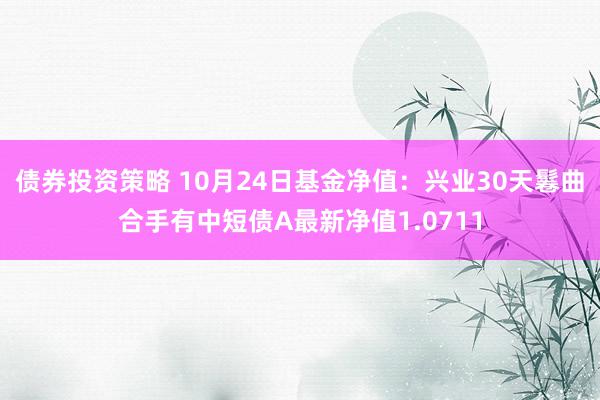 债券投资策略 10月24日基金净值：兴业30天鬈曲合手有中短债A最新净值1.0711