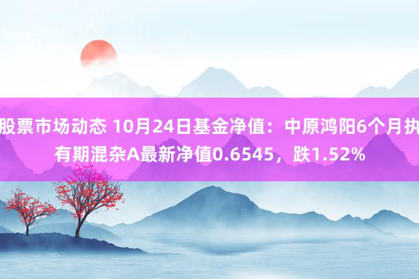 股票市场动态 10月24日基金净值：中原鸿阳6个月执有期混杂A最新净值0.6545，跌1.52%