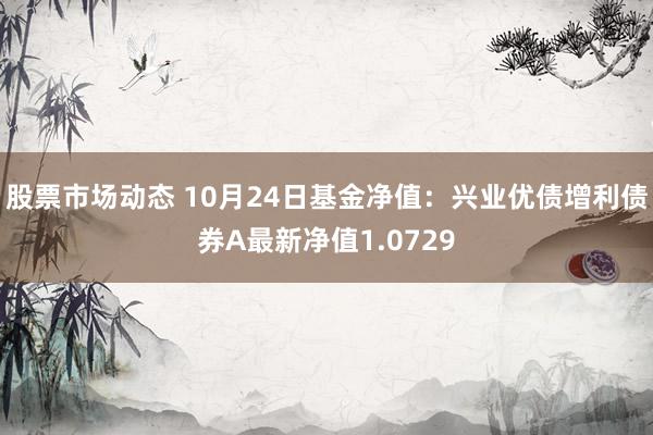 股票市场动态 10月24日基金净值：兴业优债增利债券A最新净值1.0729