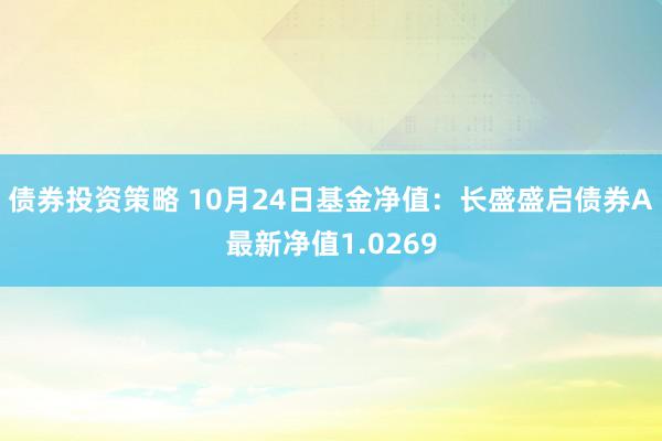 债券投资策略 10月24日基金净值：长盛盛启债券A最新净值1.0269