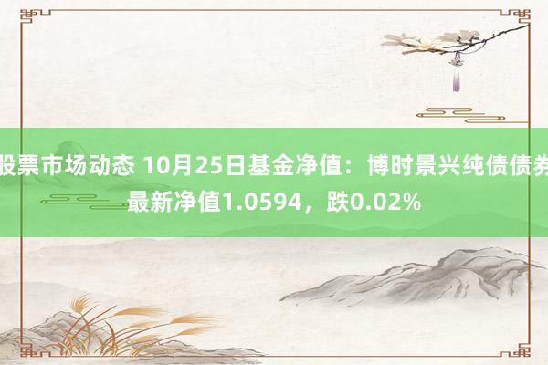 股票市场动态 10月25日基金净值：博时景兴纯债债券最新净值1.0594，跌0.02%