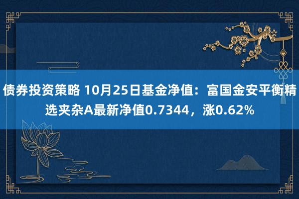 债券投资策略 10月25日基金净值：富国金安平衡精选夹杂A最新净值0.7344，涨0.62%