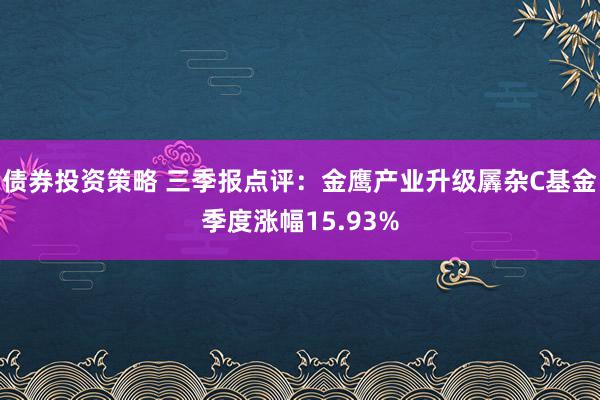 债券投资策略 三季报点评：金鹰产业升级羼杂C基金季度涨幅15.93%