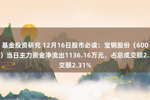 基金投资研究 12月16日股市必读：宝钢股份（600019）当日主力资金净流出1136.16万元，占总成交额2.31%