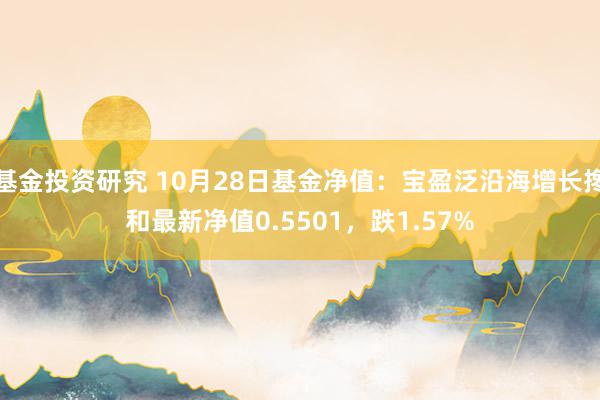 基金投资研究 10月28日基金净值：宝盈泛沿海增长搀和最新净值0.5501，跌1.57%