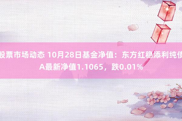 股票市场动态 10月28日基金净值：东方红稳添利纯债A最新净值1.1065，跌0.01%