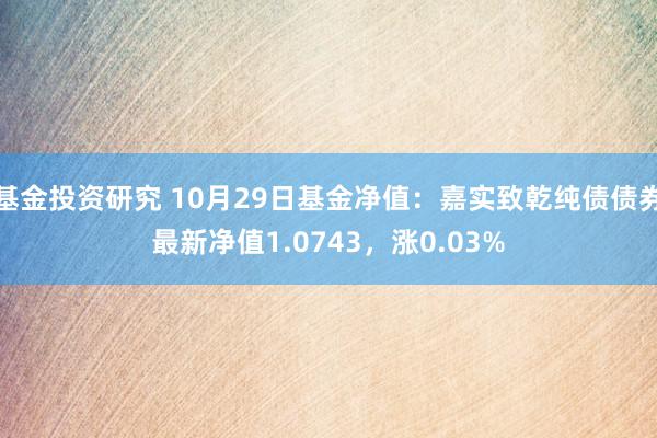 基金投资研究 10月29日基金净值：嘉实致乾纯债债券最新净值1.0743，涨0.03%