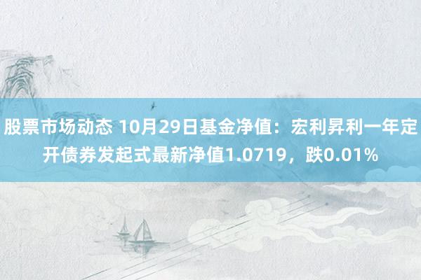 股票市场动态 10月29日基金净值：宏利昇利一年定开债券发起式最新净值1.0719，跌0.01%