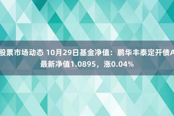 股票市场动态 10月29日基金净值：鹏华丰泰定开债A最新净值1.0895，涨0.04%