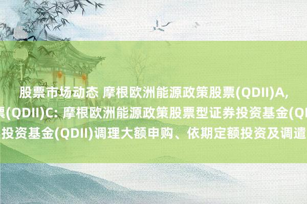 股票市场动态 摩根欧洲能源政策股票(QDII)A,摩根欧洲能源政策股票(QDII)C: 摩根欧洲能源政策股票型证券投资基金(QDII)调理大额申购、依期定额投资及调遣转入业务的公告