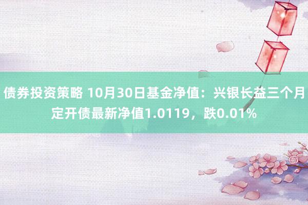 债券投资策略 10月30日基金净值：兴银长益三个月定开债最新净值1.0119，跌0.01%