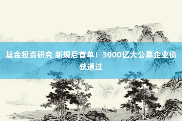 基金投资研究 新规后首单！3000亿大公募企业债获通过