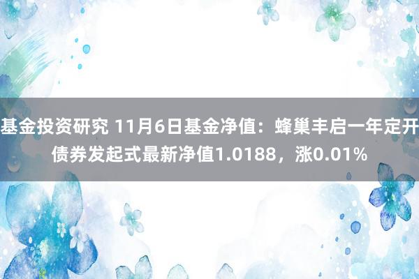 基金投资研究 11月6日基金净值：蜂巢丰启一年定开债券发起式最新净值1.0188，涨0.01%