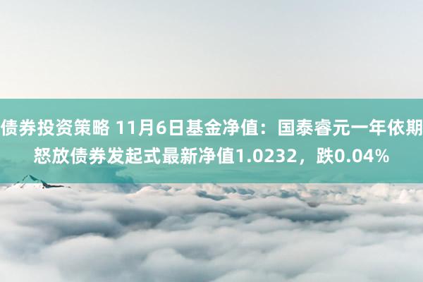 债券投资策略 11月6日基金净值：国泰睿元一年依期怒放债券发起式最新净值1.0232，跌0.04%