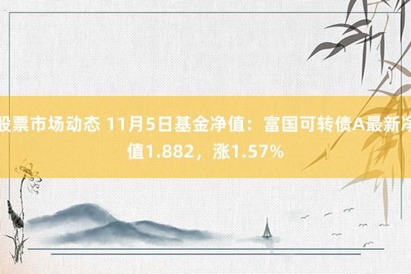 股票市场动态 11月5日基金净值：富国可转债A最新净值1.882，涨1.57%