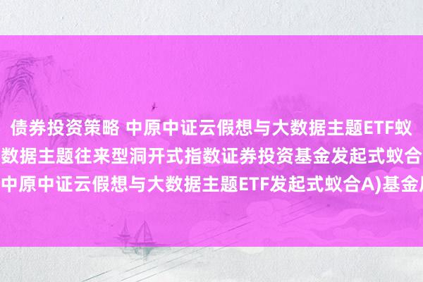 债券投资策略 中原中证云假想与大数据主题ETF蚁合A: 中原中证云假想与大数据主题往来型洞开式指数证券投资基金发起式蚁合基金(中原中证云假想与大数据主题ETF发起式蚁合A)基金居品贵府摘抄更新(2024-11-07)