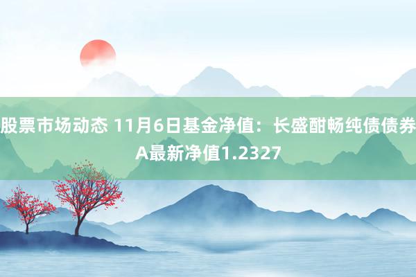 股票市场动态 11月6日基金净值：长盛酣畅纯债债券A最新净值1.2327