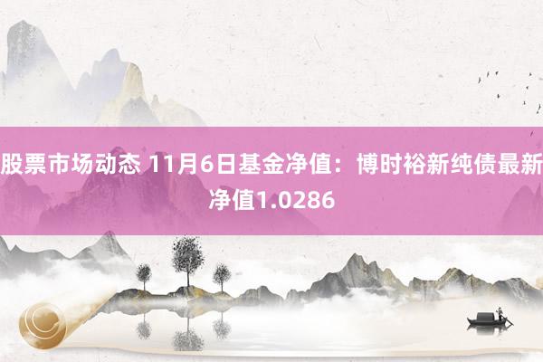 股票市场动态 11月6日基金净值：博时裕新纯债最新净值1.0286