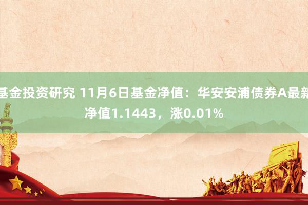 基金投资研究 11月6日基金净值：华安安浦债券A最新净值1.1443，涨0.01%