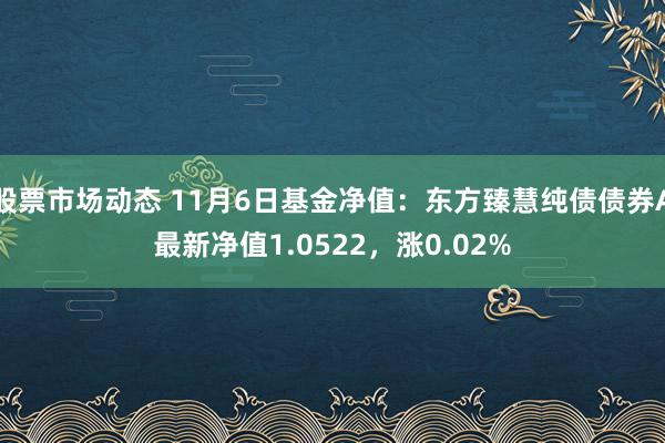 股票市场动态 11月6日基金净值：东方臻慧纯债债券A最新净值1.0522，涨0.02%