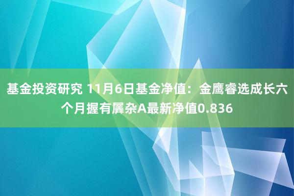 基金投资研究 11月6日基金净值：金鹰睿选成长六个月握有羼杂A最新净值0.836