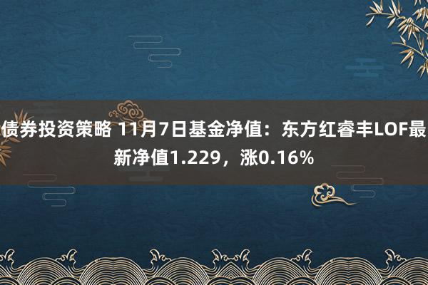 债券投资策略 11月7日基金净值：东方红睿丰LOF最新净值1.229，涨0.16%