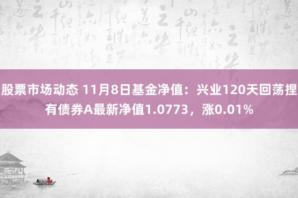 股票市场动态 11月8日基金净值：兴业120天回荡捏有债券A最新净值1.0773，涨0.01%