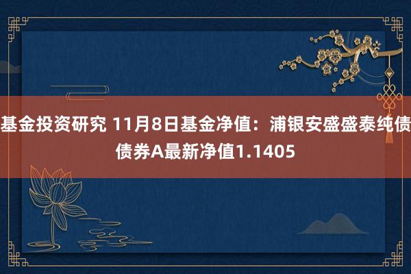 基金投资研究 11月8日基金净值：浦银安盛盛泰纯债债券A最新净值1.1405