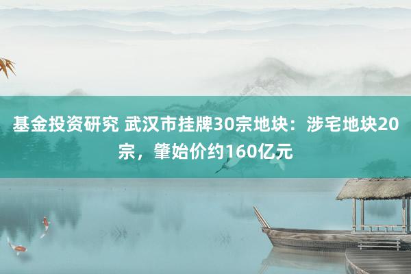 基金投资研究 武汉市挂牌30宗地块：涉宅地块20宗，肇始价约160亿元