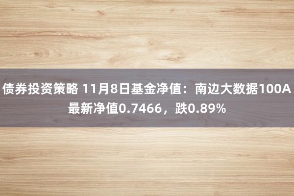 债券投资策略 11月8日基金净值：南边大数据100A最新净值0.7466，跌0.89%