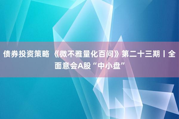 债券投资策略 《微不雅量化百问》第二十三期丨全面意会A股“中小盘”