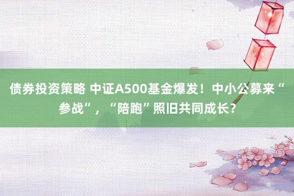 债券投资策略 中证A500基金爆发！中小公募来“参战”，“陪跑”照旧共同成长？