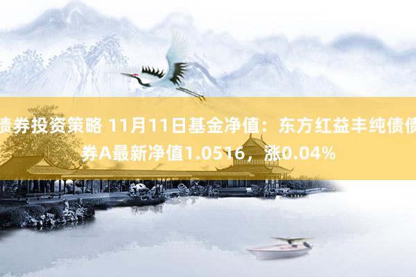 债券投资策略 11月11日基金净值：东方红益丰纯债债券A最新净值1.0516，涨0.04%