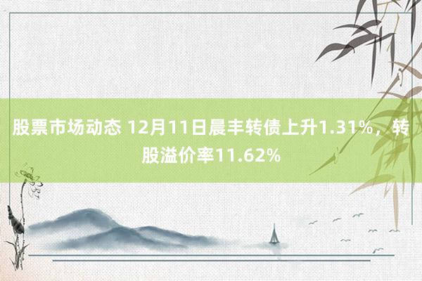 股票市场动态 12月11日晨丰转债上升1.31%，转股溢价率11.62%