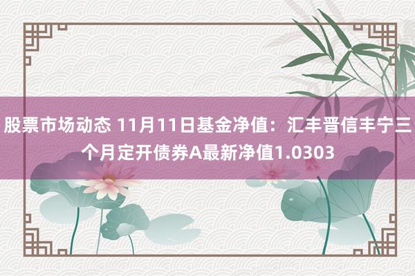 股票市场动态 11月11日基金净值：汇丰晋信丰宁三个月定开债券A最新净值1.0303