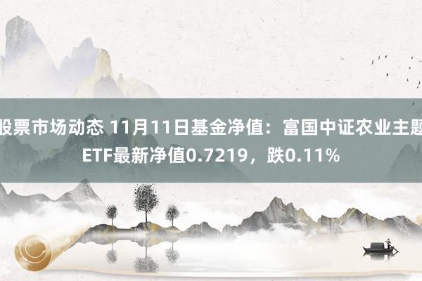 股票市场动态 11月11日基金净值：富国中证农业主题ETF最新净值0.7219，跌0.11%