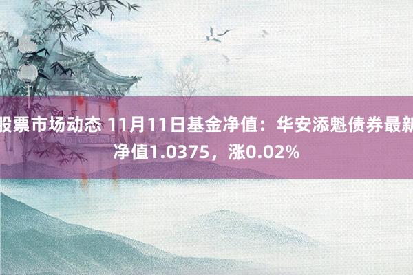 股票市场动态 11月11日基金净值：华安添魁债券最新净值1.0375，涨0.02%