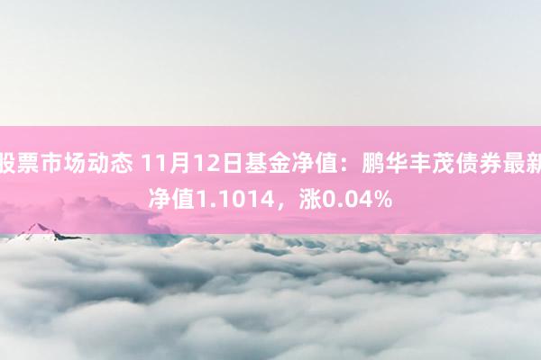 股票市场动态 11月12日基金净值：鹏华丰茂债券最新净值1.1014，涨0.04%