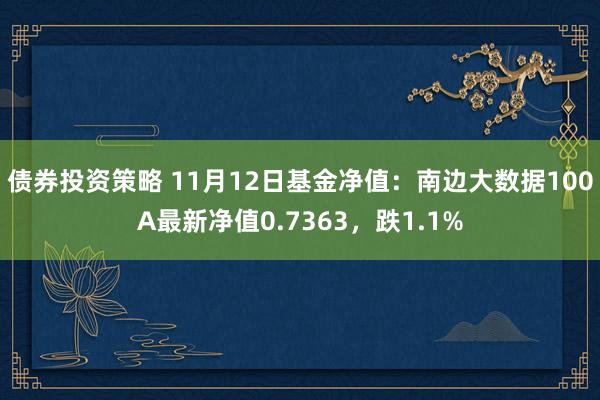 债券投资策略 11月12日基金净值：南边大数据100A最新净值0.7363，跌1.1%