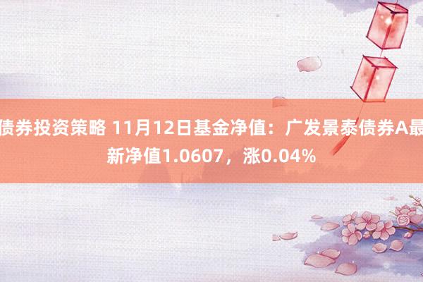 债券投资策略 11月12日基金净值：广发景泰债券A最新净值1.0607，涨0.04%