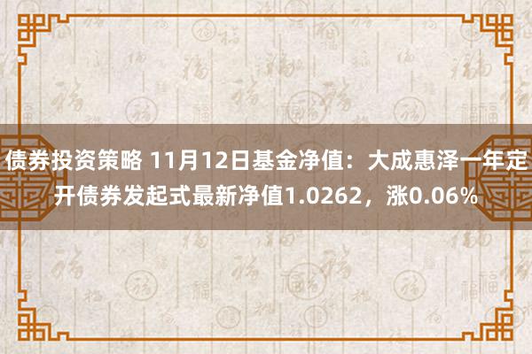 债券投资策略 11月12日基金净值：大成惠泽一年定开债券发起式最新净值1.0262，涨0.06%