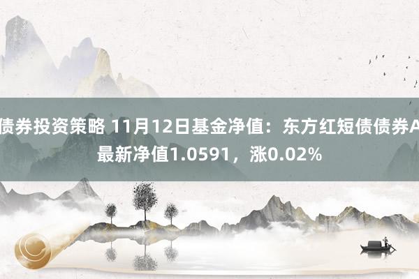 债券投资策略 11月12日基金净值：东方红短债债券A最新净值1.0591，涨0.02%