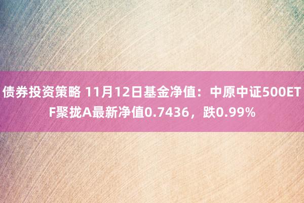 债券投资策略 11月12日基金净值：中原中证500ETF聚拢A最新净值0.7436，跌0.99%